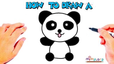 panda drawings