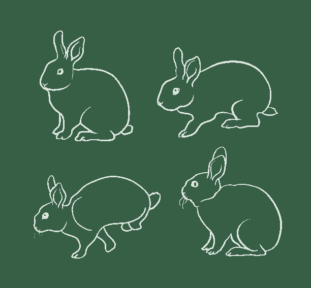 how to draw a bunny with chalk
