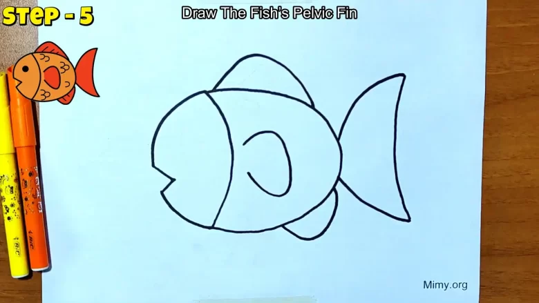 Draw The Fish’s Pectoral Fin