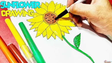 How to Draw Sunflower Step by Step