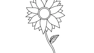 Sunflower coloring page