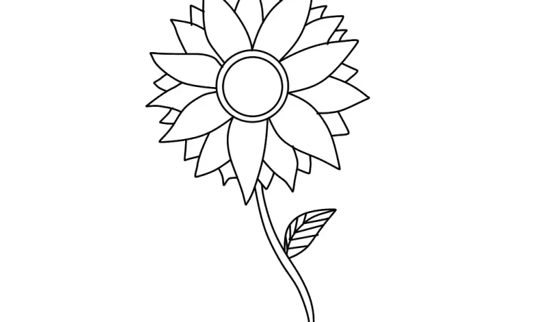 Sunflower coloring page