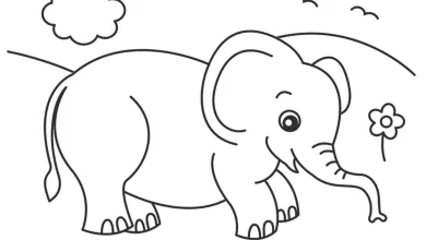 Big elephant in the forest