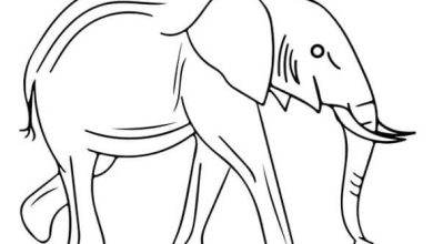Elephant Tattoo coloring pages