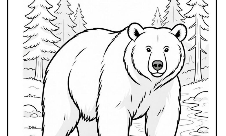 Brown Bear Coloring Pages - PDF Download