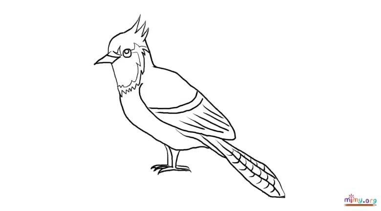 Blue Jay coloring pages