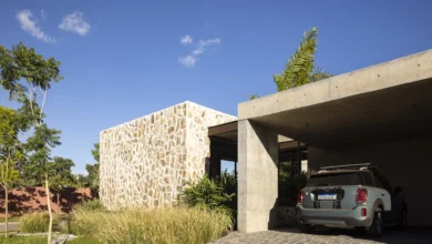 Avocado Tree House