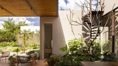 Avocado Tree House konut projesi 9